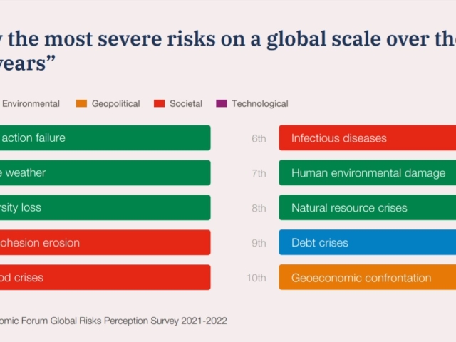 Global Risks Report WEF